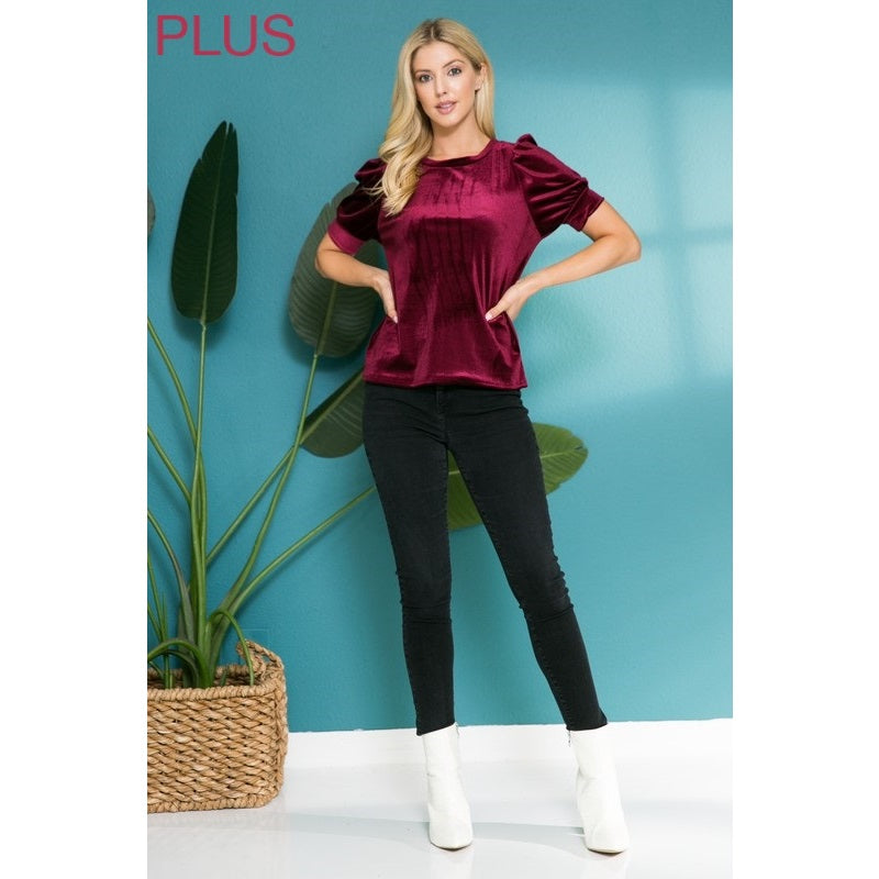 Plus - Solid Velvet Short Sleeve Top